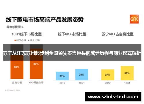 苏宁从江苏苏州起步到全国领先零售巨头的成长历程与商业模式解析